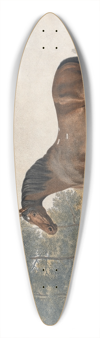 George Stubbs - Anvil 39.3 inch art pintail longboard deck
