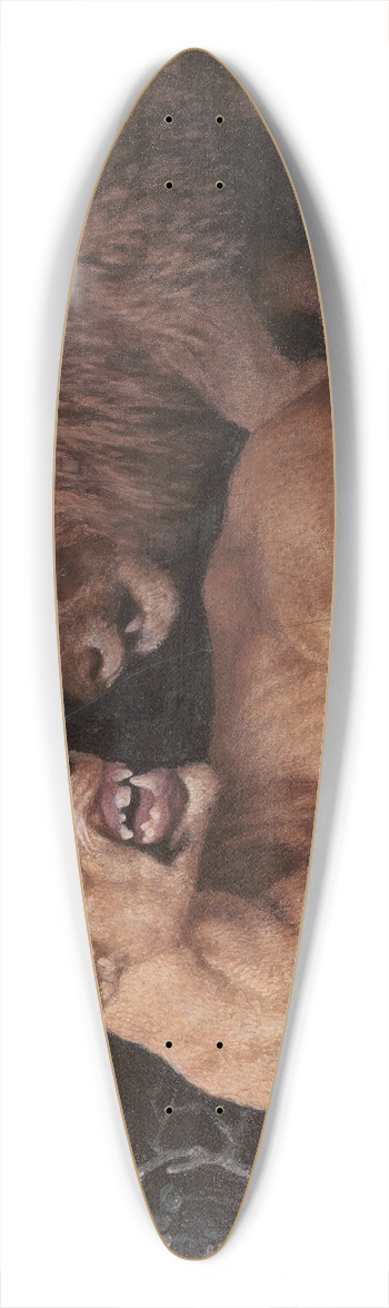 George Stubbs - Lion and Lioness 39.3 inch art pintail longboard deck