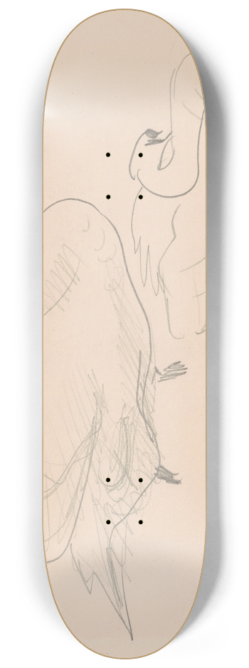 John Singer Sargent - Studies of a Swan 8.25 inch art skate deck