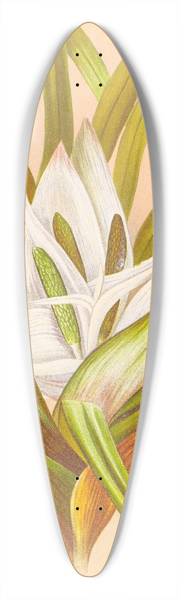Georgina Burne Hetley - Freycinetia Banksii 39.3 inch art pintail longboard deck