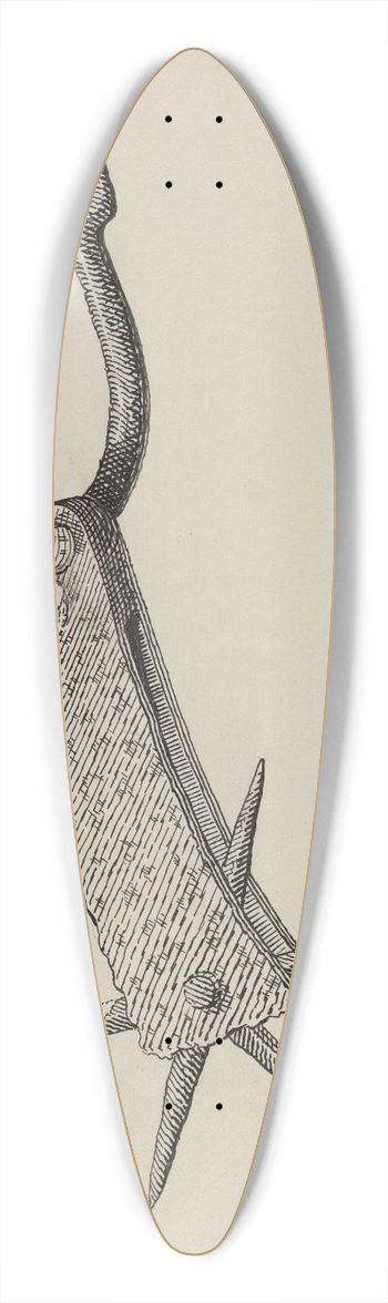Gerald Transpota - Spur 39.3 inch art pintail longboard deck