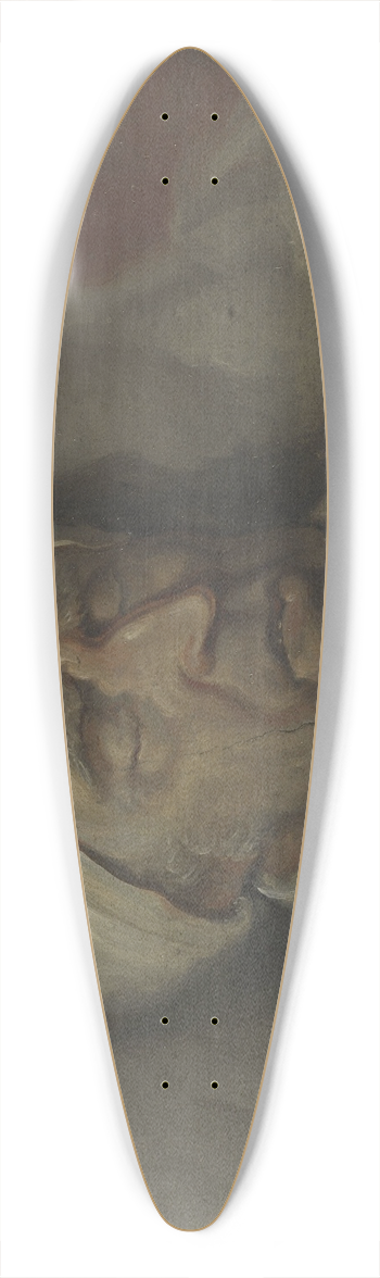 Gerrit Jan Michalis - Mr. Willem Bilderdijk na zijn dood 39.3 inch art pintail longboard deck