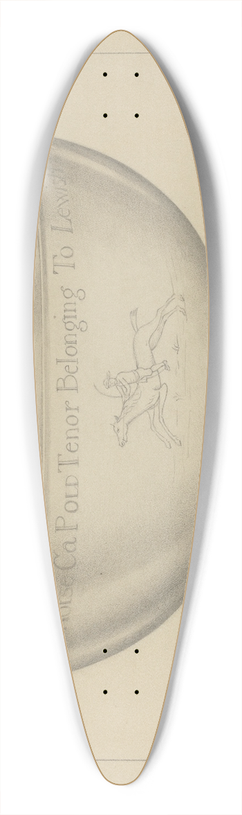 Giacinto Capelli - Silver Bowl 39.3 inch art pintail longboard deck