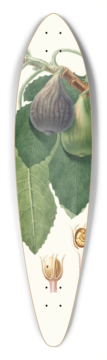 Giorgio Gallesio - Caprifico 39.3 inch art pintail longboard deck