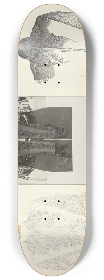 American 20th Century - Tracing Technique 8.25 inch art skate deck