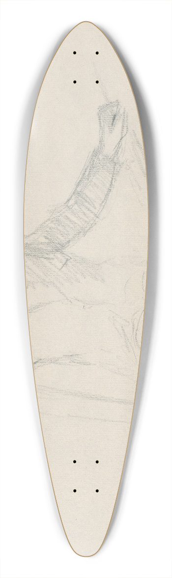 Gustv Mall - Sediaci chlapec 39.3 inch art pintail longboard deck