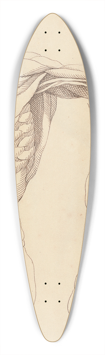 Hamlet Winstanley - Anatomical Studies of a Torso 39.3 inch art pintail longboard deck