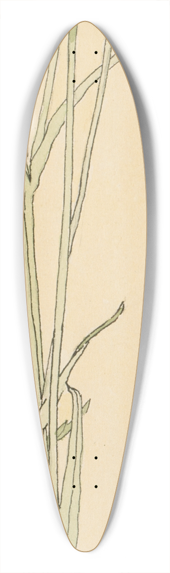 Hannah Borger Overbeck - Corn Cockle 39.3 inch art pintail longboard deck