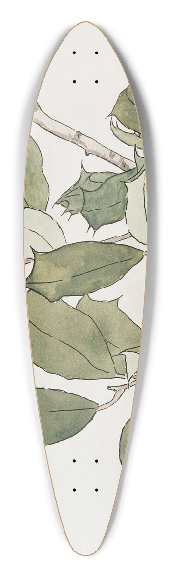 Hannah Borger Overbeck - Holly. 39.3 inch art pintail longboard deck