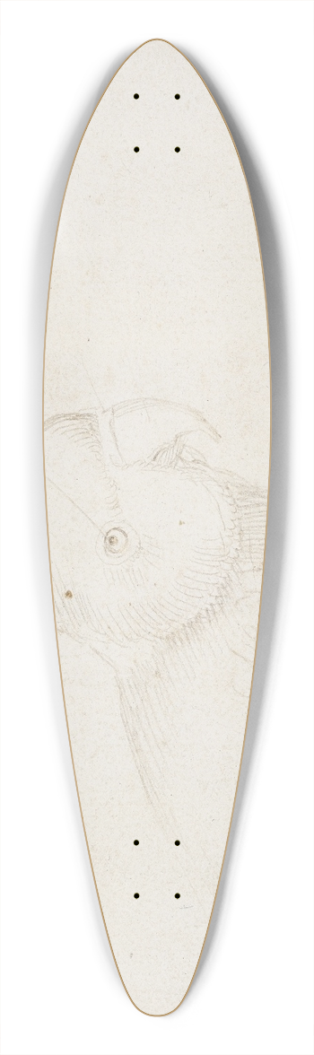 Hans Baldung - Papegje 39.3 inch art pintail longboard deck