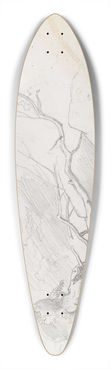 Hans Gude - Nakent nedblst tre 39.3 inch art pintail longboard deck