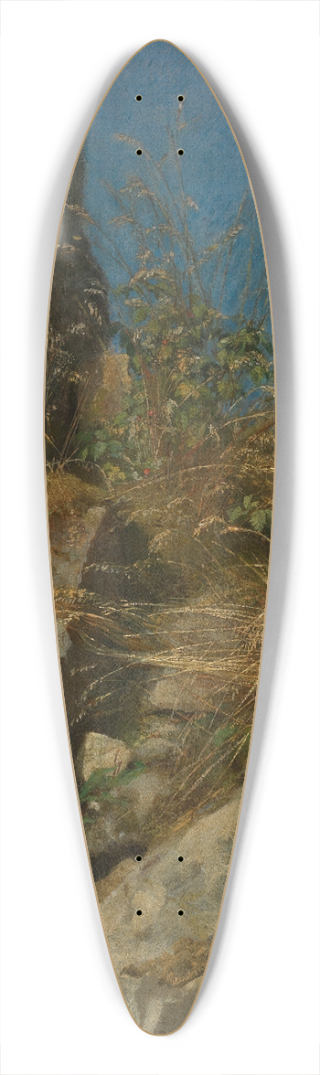 Hans Thoma - Grser zwischen Felsen 39.3 inch art pintail longboard deck
