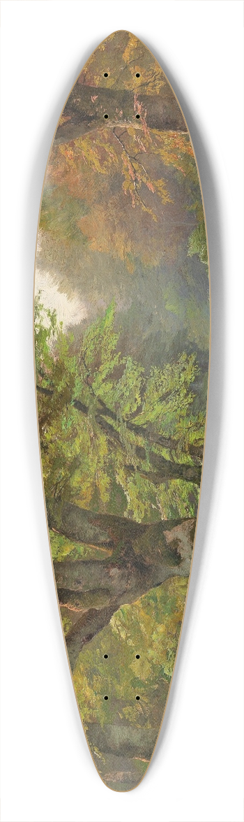 Heinrich Bhmer - Waldsee 39.3 inch art pintail longboard deck