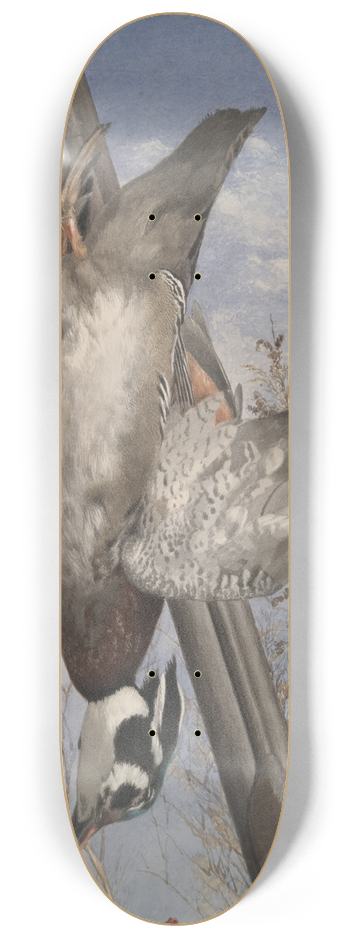 John William Hill - Hanging GameBirds 8.25 inch art skate deck