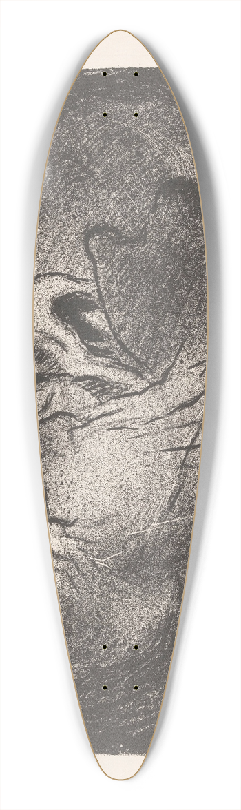 Henri Braakensiek - Stervende 39.3 inch art pintail longboard deck