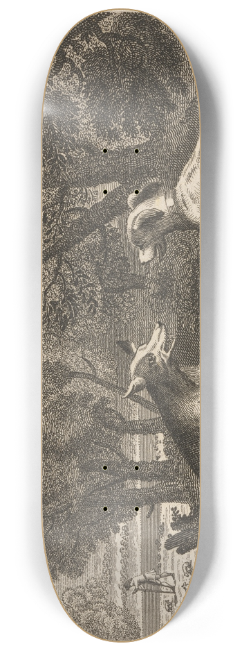 John Wootton - Fable XVII. The Shepherds Dog and the Wolf 8.25 inch art skate deck