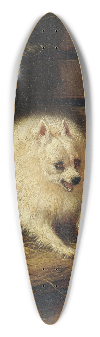 Henritte Ronner-Knip - An Unwelcome Intruder 39.3 inch art pintail longboard deck