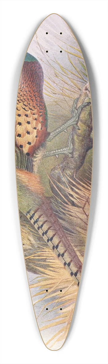 Henry Jones - Kweichow Pheasant 39.3 inch art pintail longboard deck
