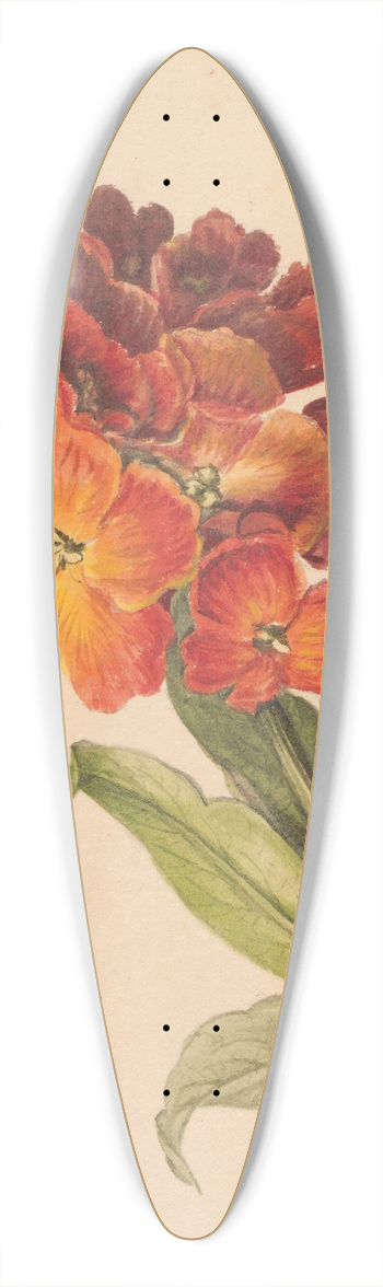Henryka Beyer - Gazka laku 39.3 inch art pintail longboard deck