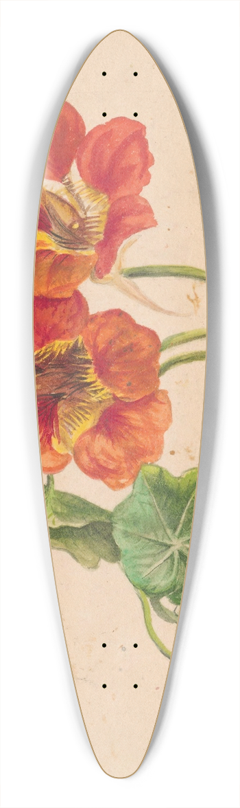 Henryka Beyer - Nasturtium twig 39.3 inch art pintail longboard deck
