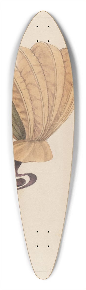 Herbert Marsh - Bonnet 39.3 inch art pintail longboard deck
