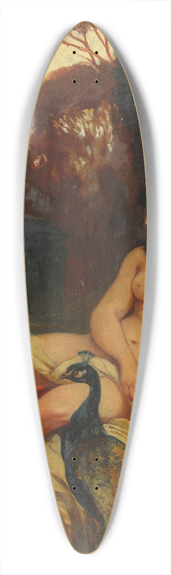 Hermann Schneider - Anmuth 39.3 inch art pintail longboard deck