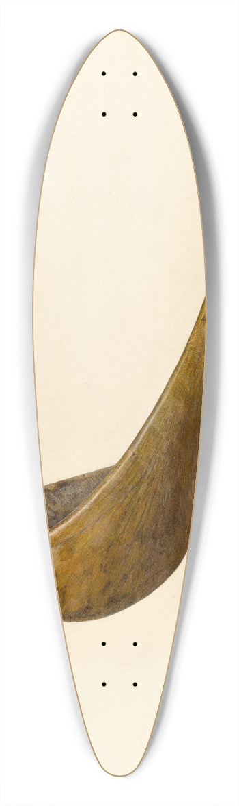 Hester Duany - Butter Worker 39.3 inch art pintail longboard deck