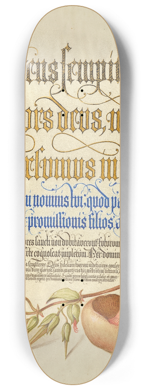 Joris Hoefnagel - Centipede, Wood Cranesbill, and Mushroom 8.25 inch art skate deck