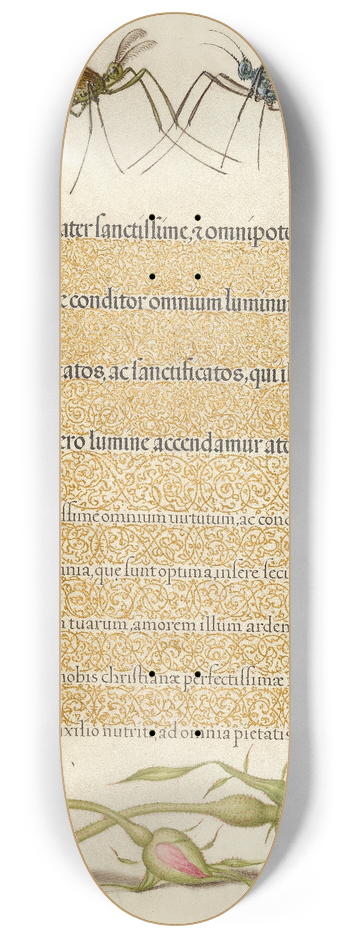 Joris Hoefnagel - Crested Crane Fly, Insect, and French Rose 8.25 inch art skate deck