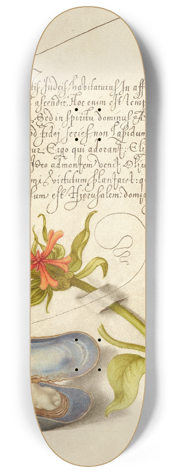 Joris Hoefnagel - Maltese Cross, Mussel, and Ladybird 8.25 inch art skate deck