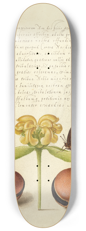 Joris Hoefnagel - Moths, Jerusalem Sage, and Beans 8.25 inch art skate deck