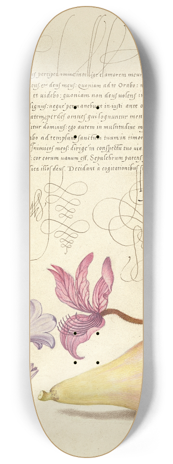 Joris Hoefnagel - Rampion, Dittany, and Pear 8.25 inch art skate deck