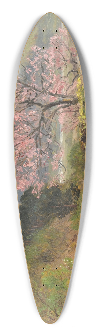 Hugo Darnaut - Spring 39.3 inch art pintail longboard deck