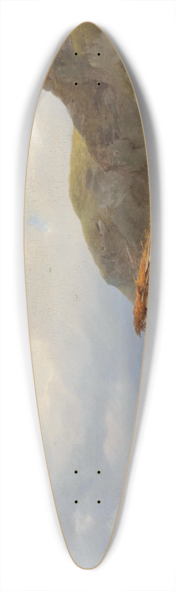 Ignaz Raffalt - Resting at noon 39.3 inch art pintail longboard deck
