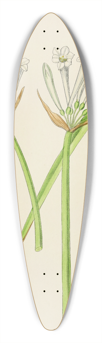 Illtyd Buller Pole-Evans - Cyrtanthus Mckenii 39.3 inch art pintail longboard deck