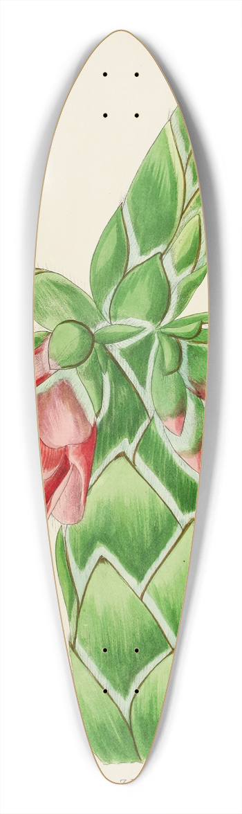 Illtyd Buller Pole-Evans - Orothamnus Zeyheri 39.3 inch art pintail longboard deck
