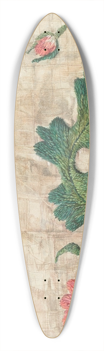 Isabella Ruth Doerfler - Bed Valance Detail 39.3 inch art pintail longboard deck