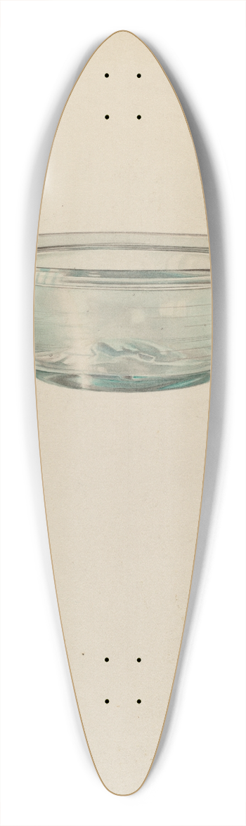 Isidore Steinberg - Sauce Dish 39.3 inch art pintail longboard deck