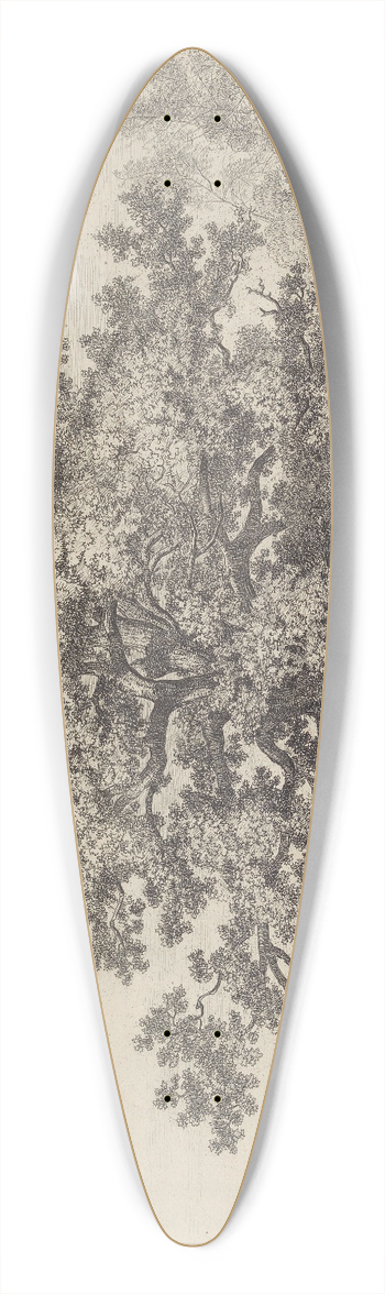 Jacob George Strutt - The Panshanger Oak 39.3 inch art pintail longboard deck