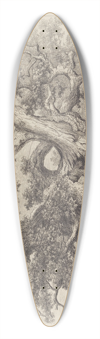Jacob George Strutt - The Salcey Forest Oak 39.3 inch art pintail longboard deck