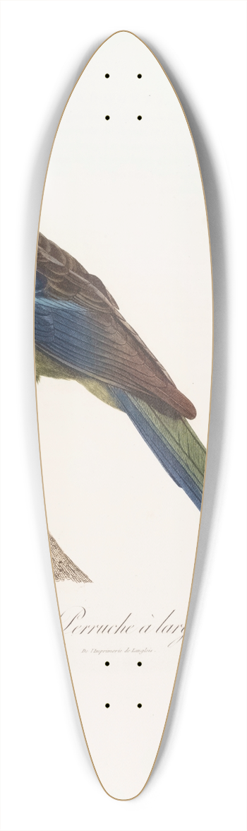 Jacques Barraband - 1ere Varit de la Perruche  large queue 39.3 inch art pintail longboard deck