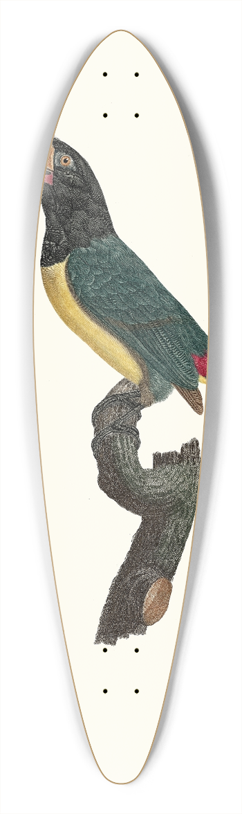 Jacques Barraband - LAracari verd mle. 39.3 inch art pintail longboard deck