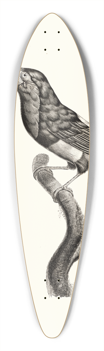 Jacques Barraband - Le Barbican. 39.3 inch art pintail longboard deck