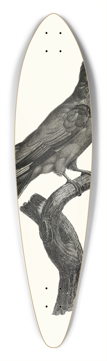 Jacques Barraband - Le Rolle  gorge bleu. 39.3 inch art pintail longboard deck
