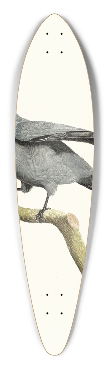 Jacques Barraband - Le Rollier  masque noir. 39.3 inch art pintail longboard deck