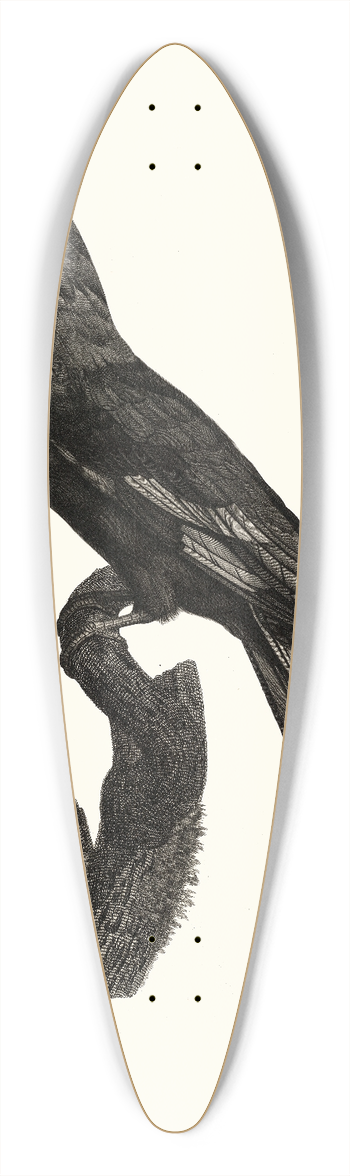 Jacques Barraband - Le Rollier  ventre bleu. 39.3 inch art pintail longboard deck