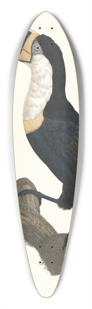 Jacques Barraband - Le Tocan  Collier jaune. 39.3 inch art pintail longboard deck