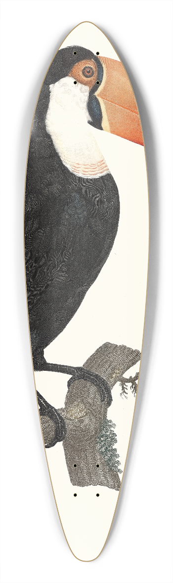 Jacques Barraband - Le Toco. 39.3 inch art pintail longboard deck