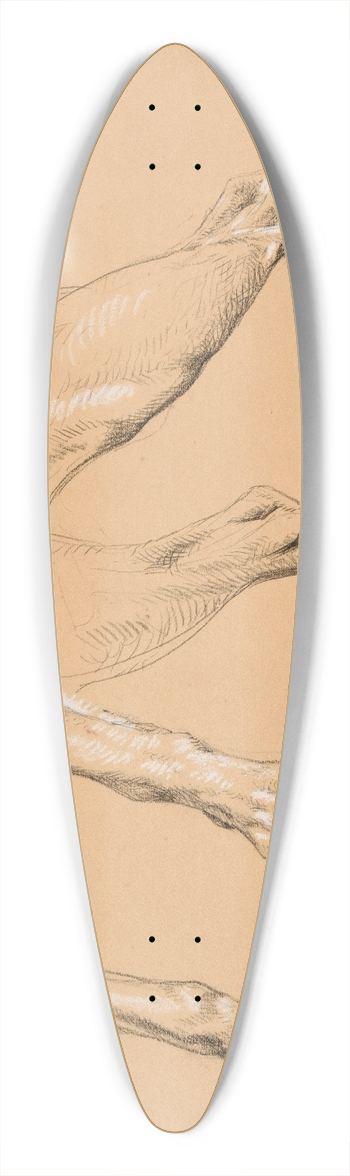 Jacques-Raymond Brascassat - tude de pattes et queue de chien 39.3 inch art pintail longboard deck