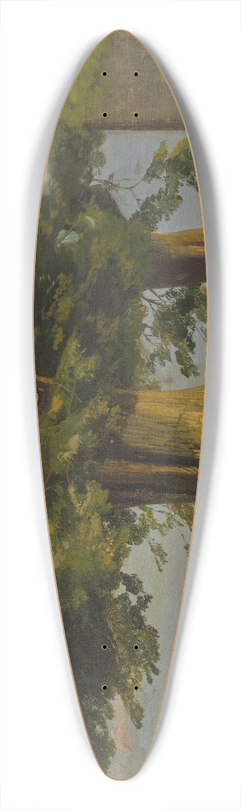 Jakob Becker - Alte Bume und Ausblick auf weite Ebene 39.3 inch art pintail longboard deck